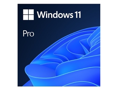 Windows 11 Pro