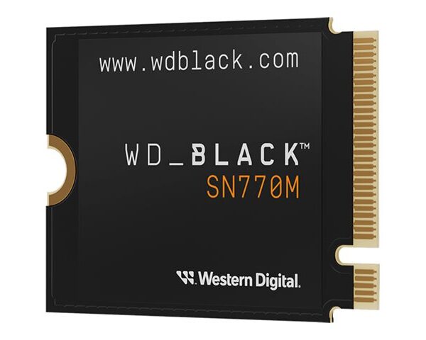 WD_BLACK SN770M WDS100T3X0G